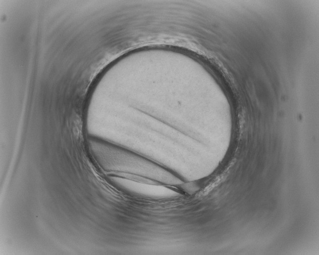 X0000070391505200607072206