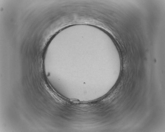 X0000070391507200607072206