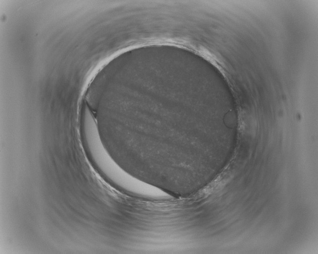 X0000070391508200607072206