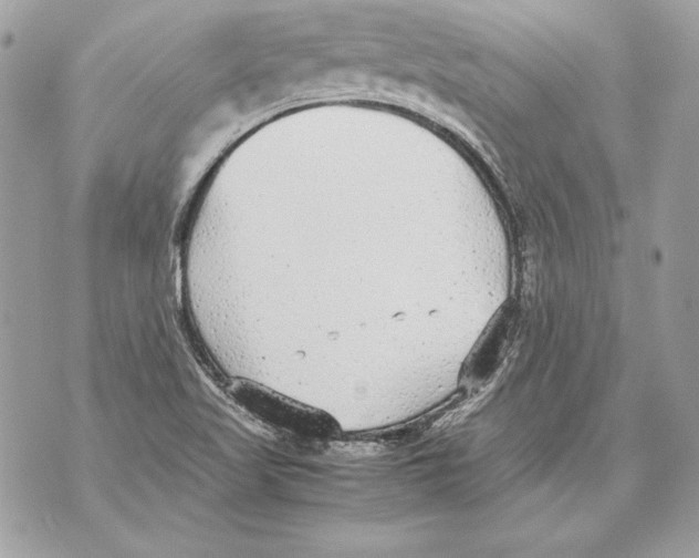 X0000070391509200607072206