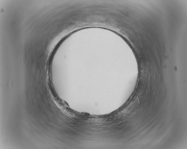 X0000070391511200607072206