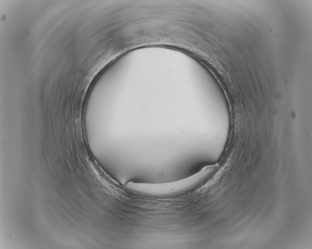 X0000070391513200607072206