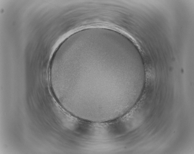 X0000070391514200607072206