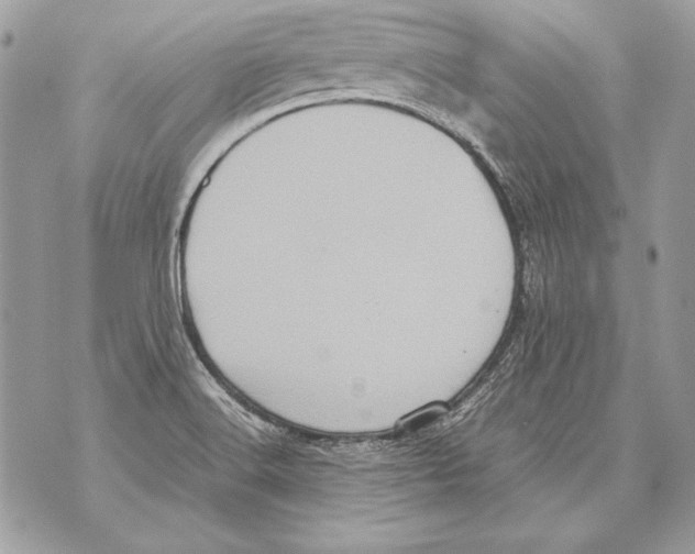 X0000070391516200607072206