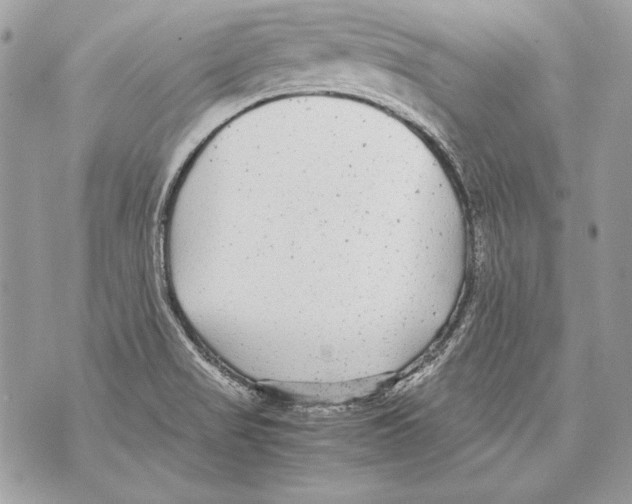 X0000070391517200607072206