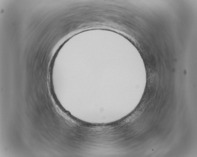 X0000070391518200607072206