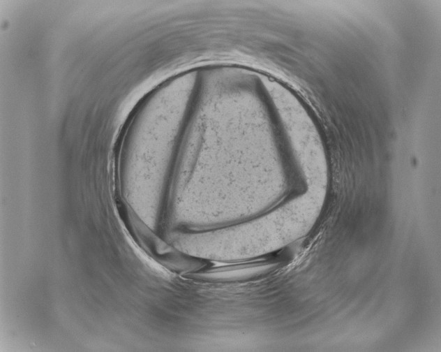 X0000070391519200607072206