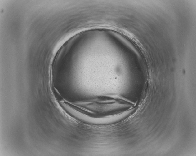 X0000070391520200607072206