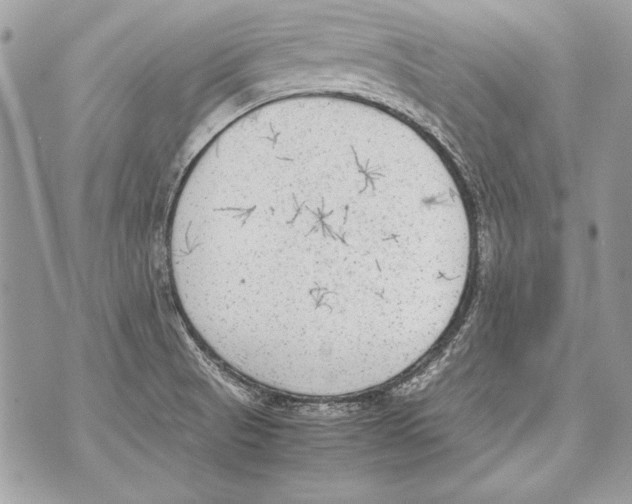 X0000070391521200607072206