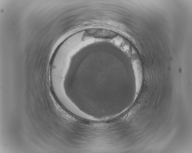 X0000070391522200607072206