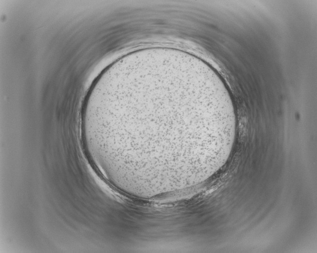 X0000070391523200607072206