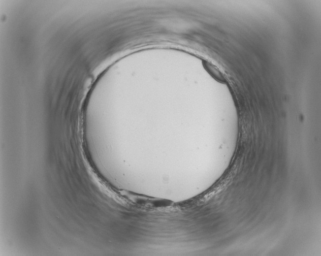 X0000070391526200607072206