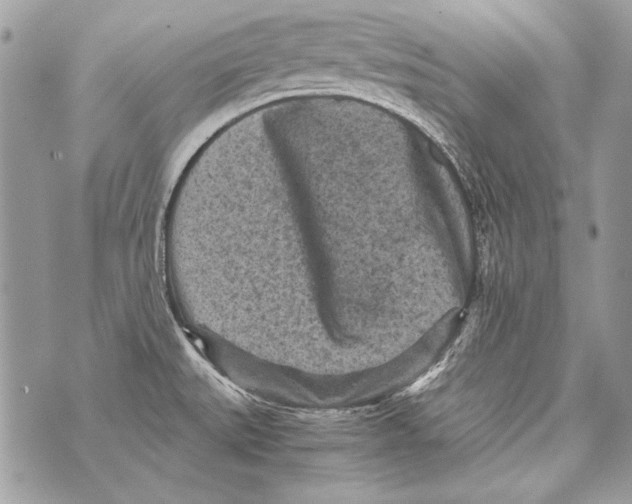 X0000070391527200607072206