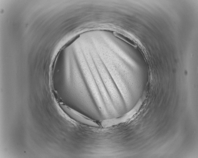 X0000070391528200607072206