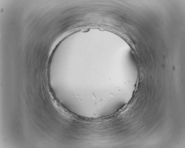 X0000070391530200607072206