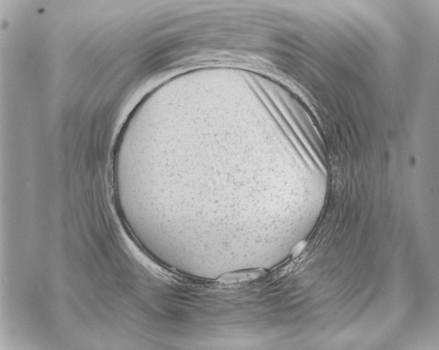 X0000070391531200607072206