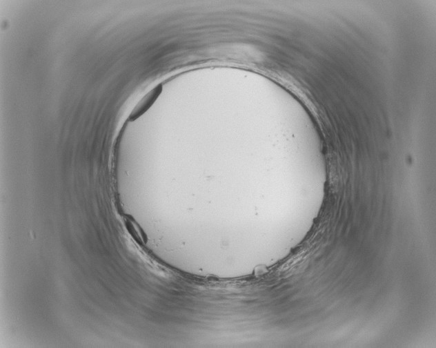 X0000070391532200607072206