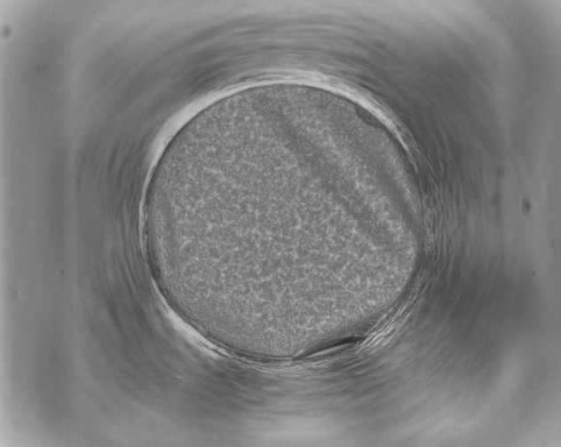 X0000070391535200607072206