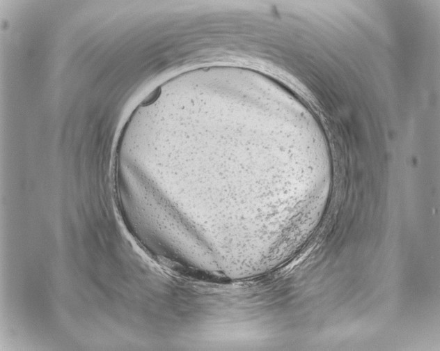 X0000070391536200607072206