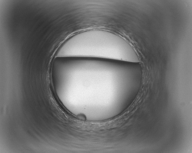 X0000070400002200606090942
