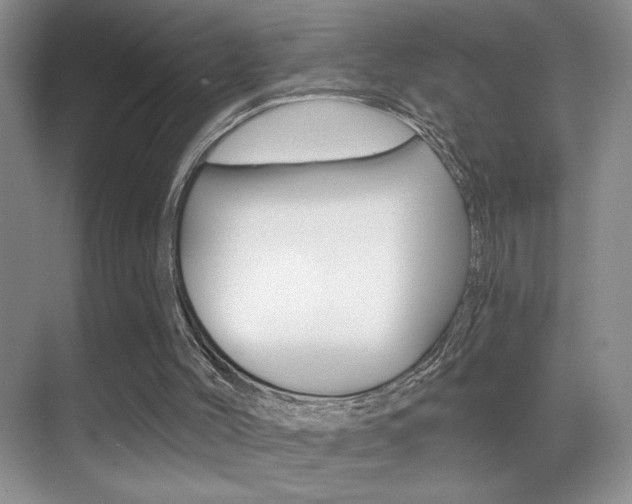 X0000070400004200606090942