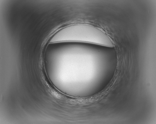 X0000070400005200606090941