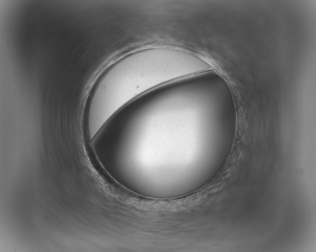 X0000070400007200606090941