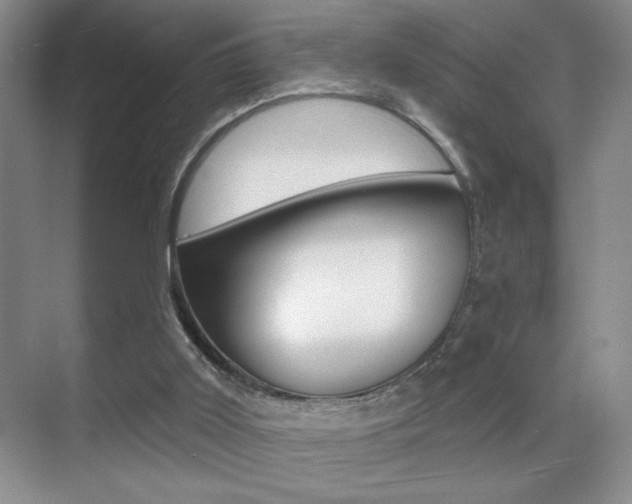 X0000070400011200606090941