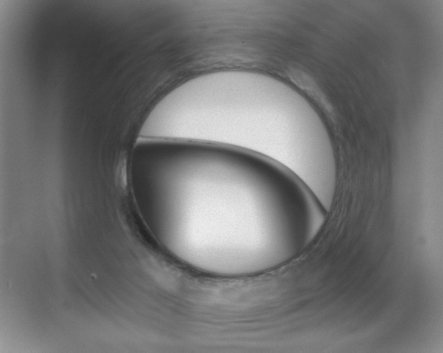 X0000070400021200606090941