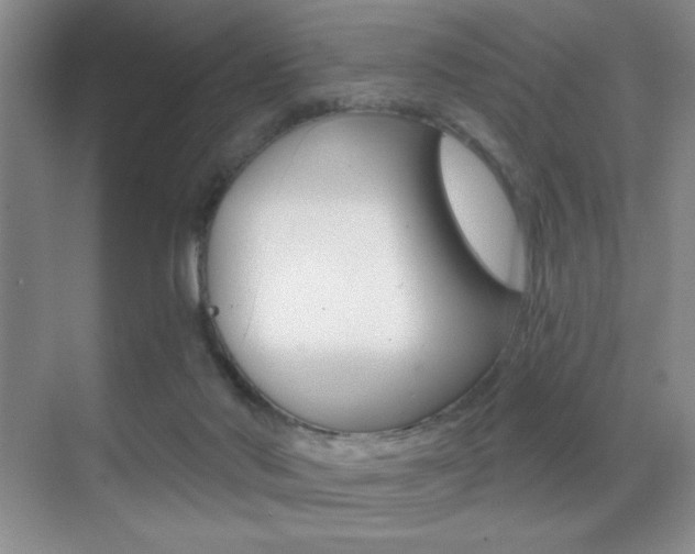 X0000070400022200606090941
