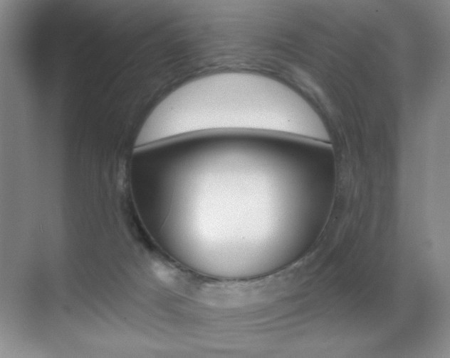 X0000070400025200606090941
