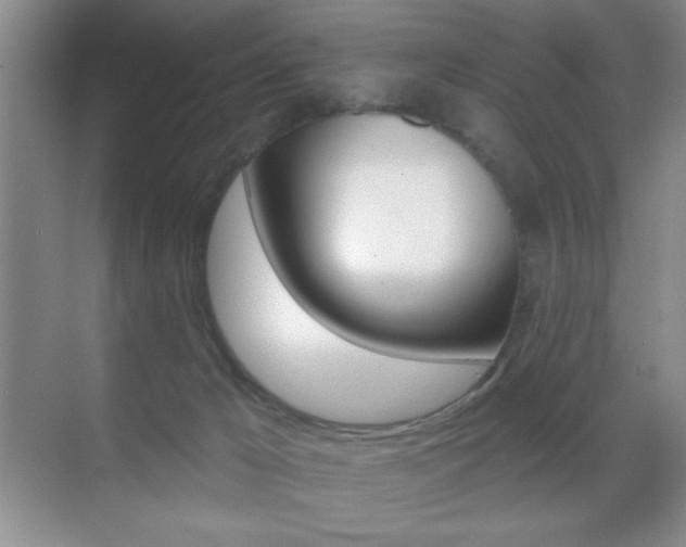 X0000070400029200606090941