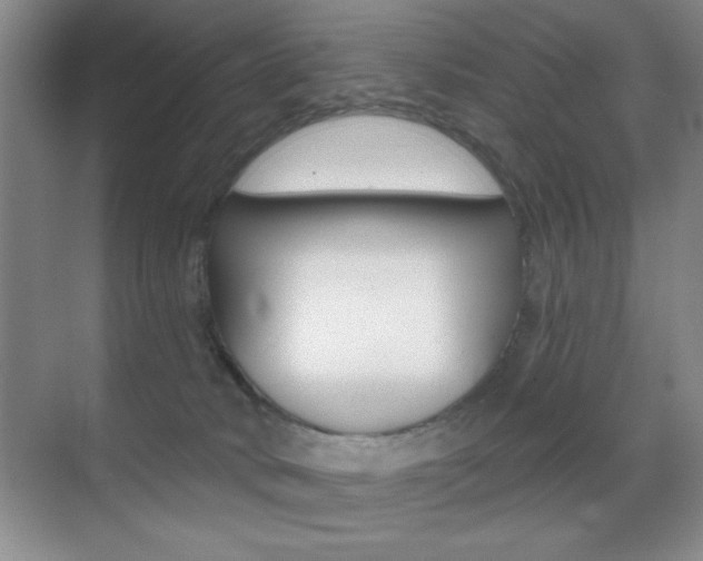 X0000070400034200606090941