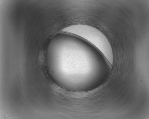 X0000070400037200606090941