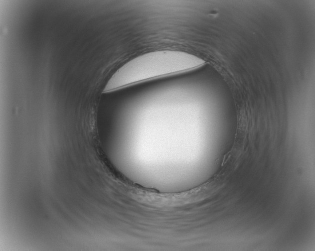 X0000070400043200606090941