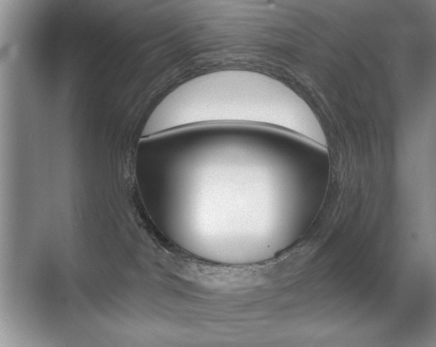 X0000070400044200606090941