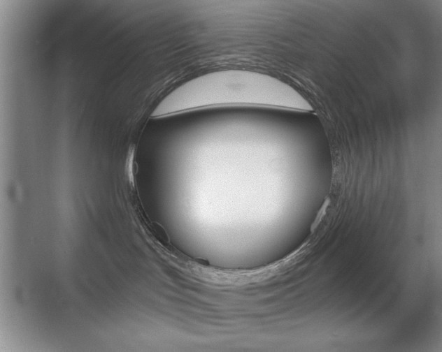 X0000070400047200606090941