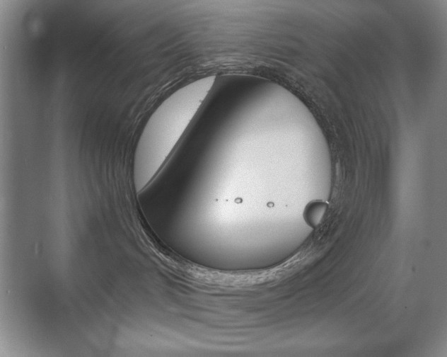 X0000070400048200606090941