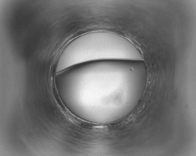 X0000070400053200606090940