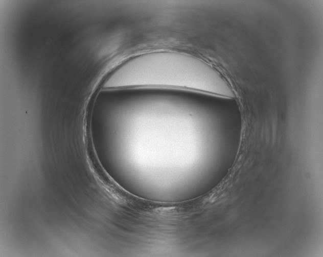 X0000070400054200606090940