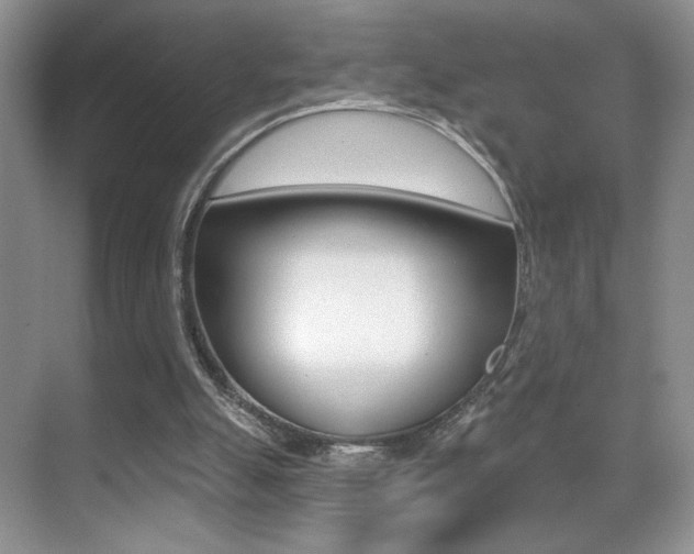 X0000070400055200606090940