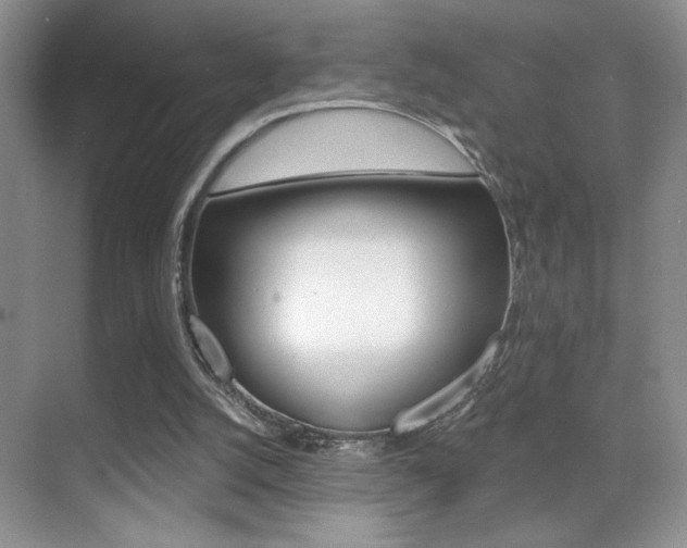 X0000070400056200606090940