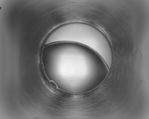 X0000070400060200606090940