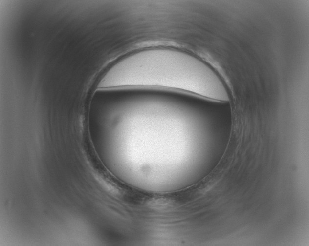 X0000070400063200606090940
