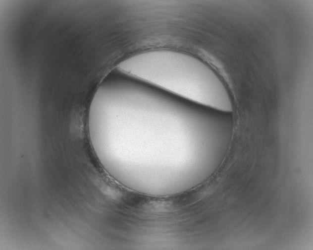 X0000070400065200606090940