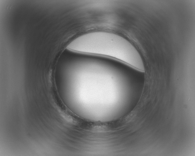 X0000070400066200606090940