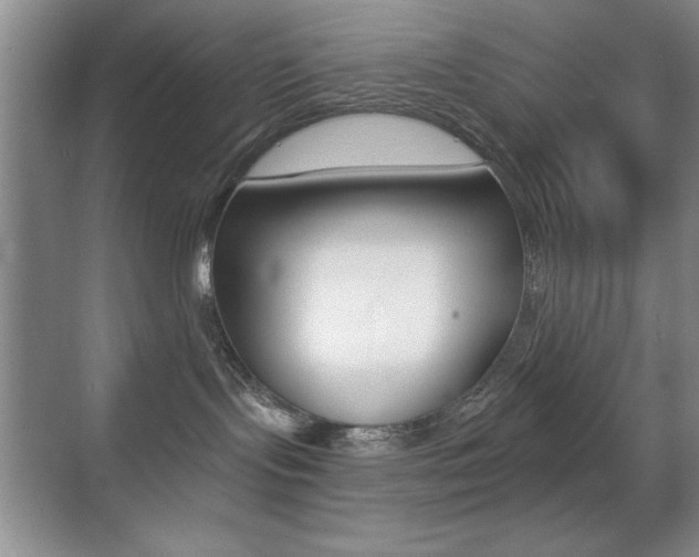 X0000070400095200606090941