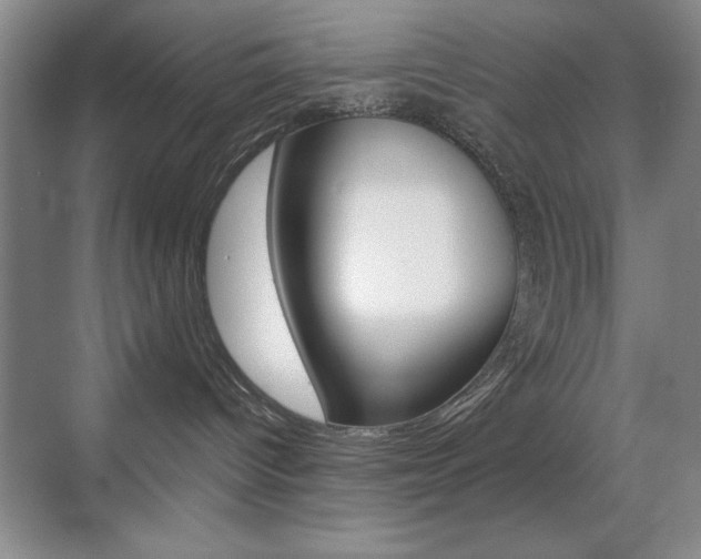 X0000070400096200606090941