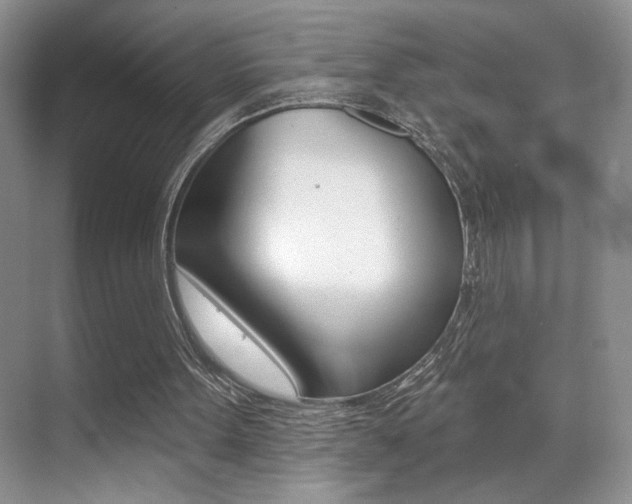 X0000070400099200606090940