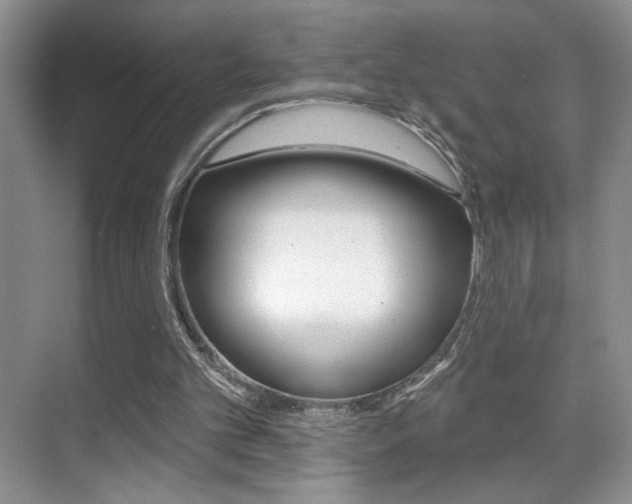 X0000070400101200606090940